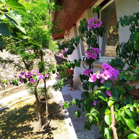 Lili House Apartment Portoroz Ngoại thất bức ảnh
